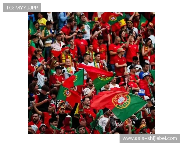欧洲世界杯：球迷文化与现场氛围的独特体验分享